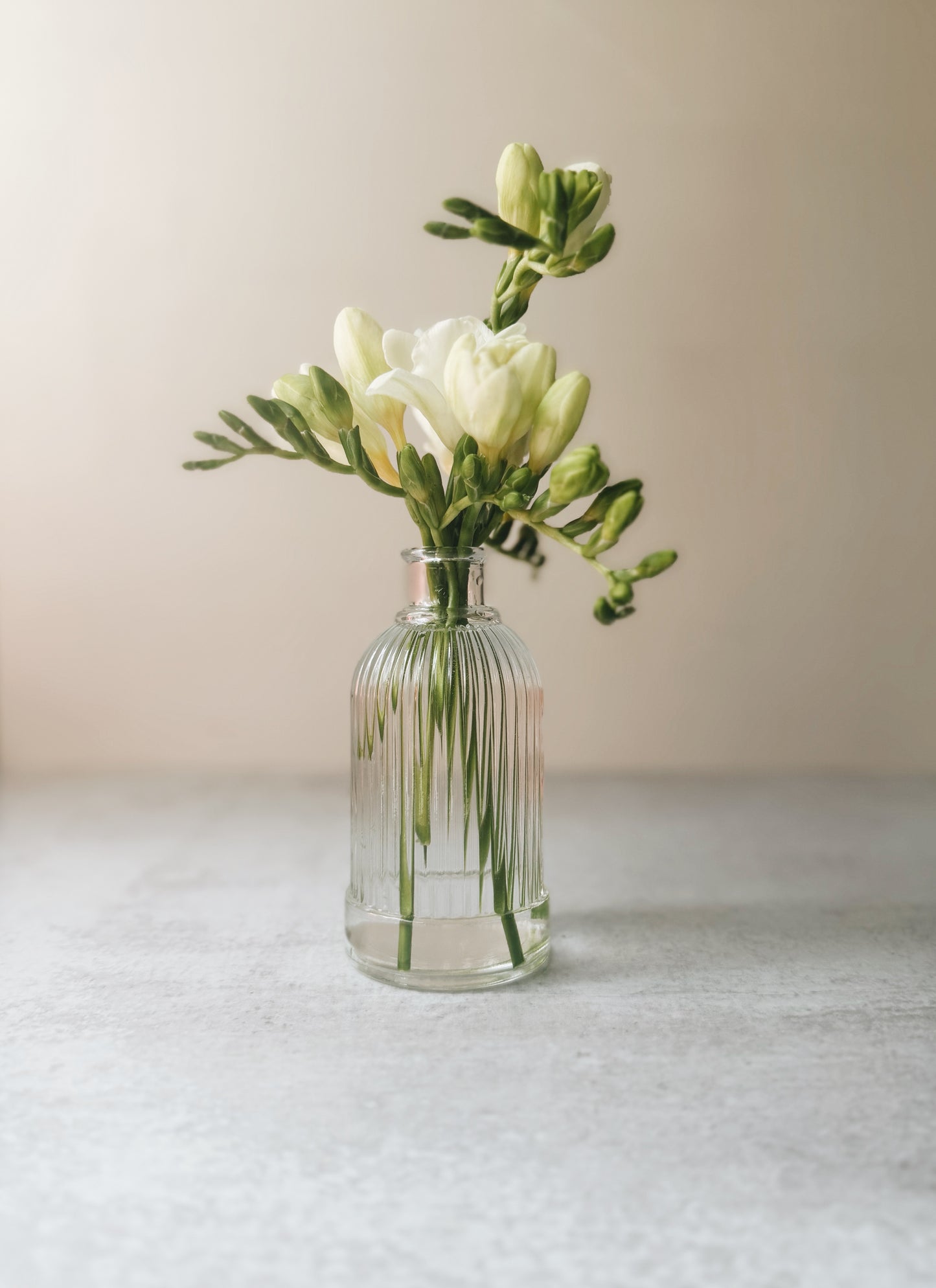 Glass Vase - medium