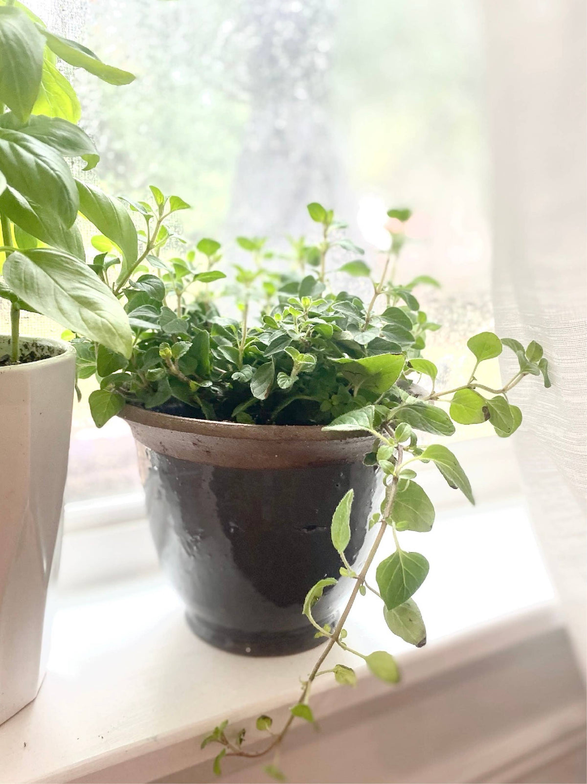 Planter Medium Gray