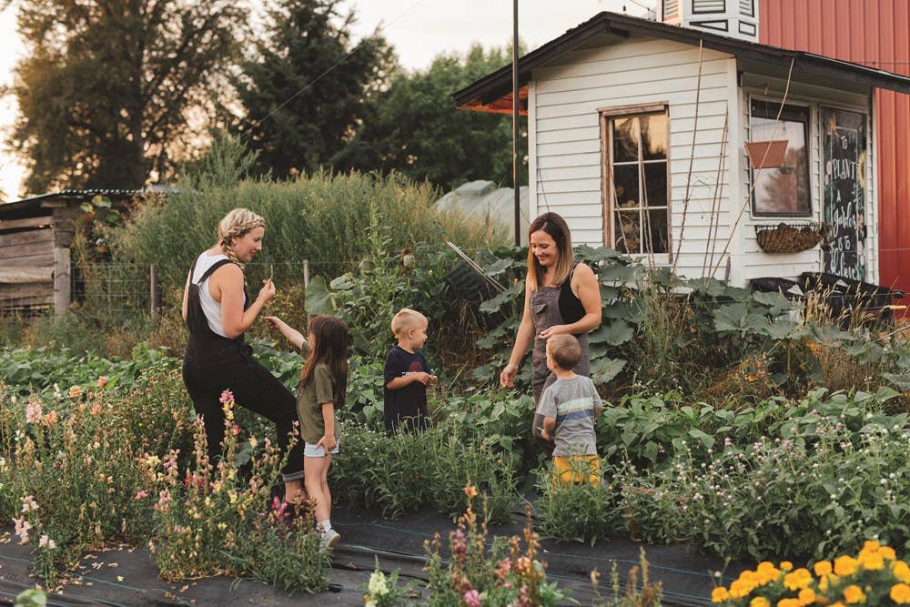 Drink Your Garden: Recipes, Stories and Tips from: Hardcover