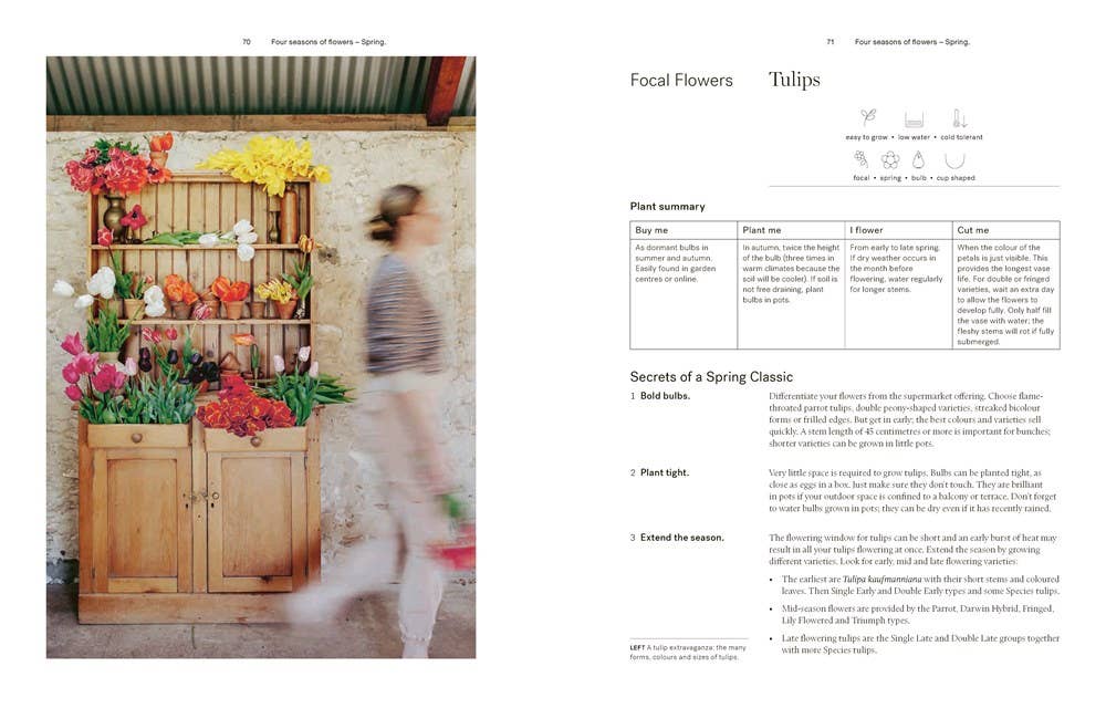 Secrets from the Flower Farm