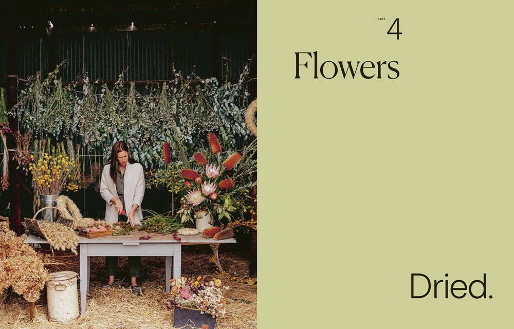Secrets from the Flower Farm