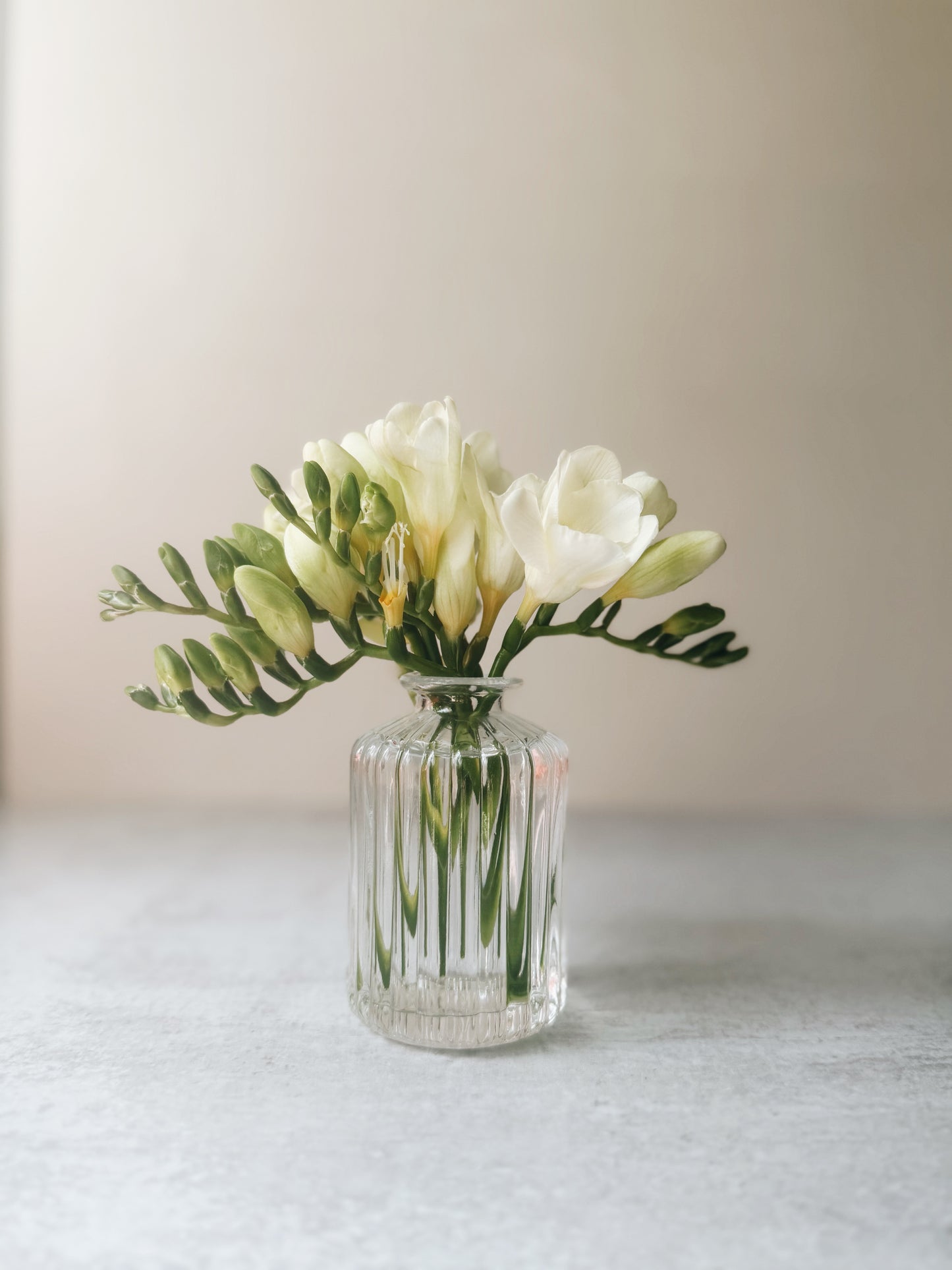 Pleated Glass Bud Vase