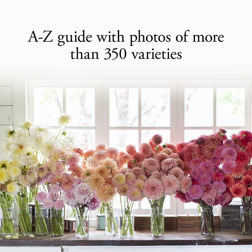 Floret Farm's Discovering Dahlias