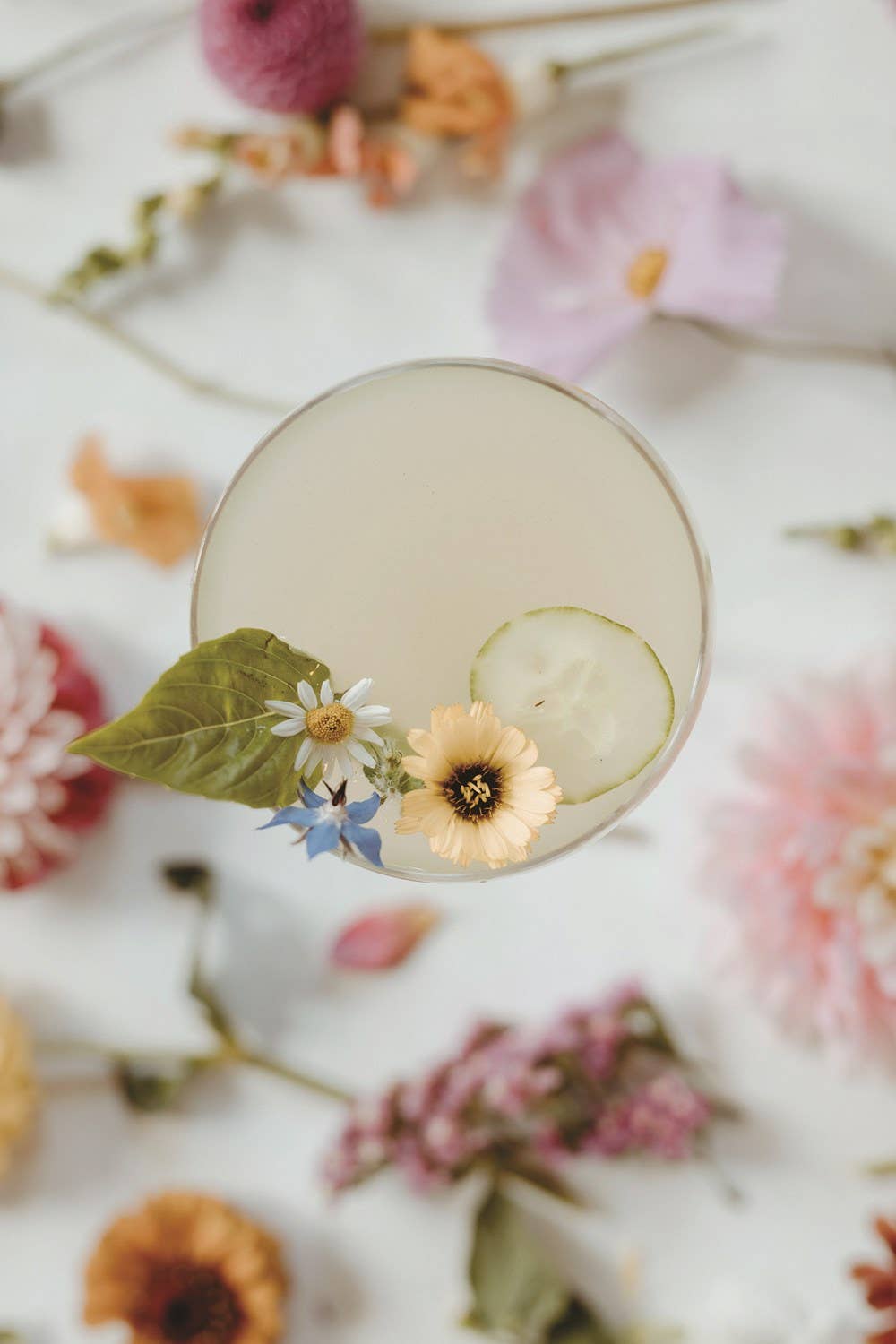 Drink Your Garden: Recipes, Stories and Tips from: Hardcover