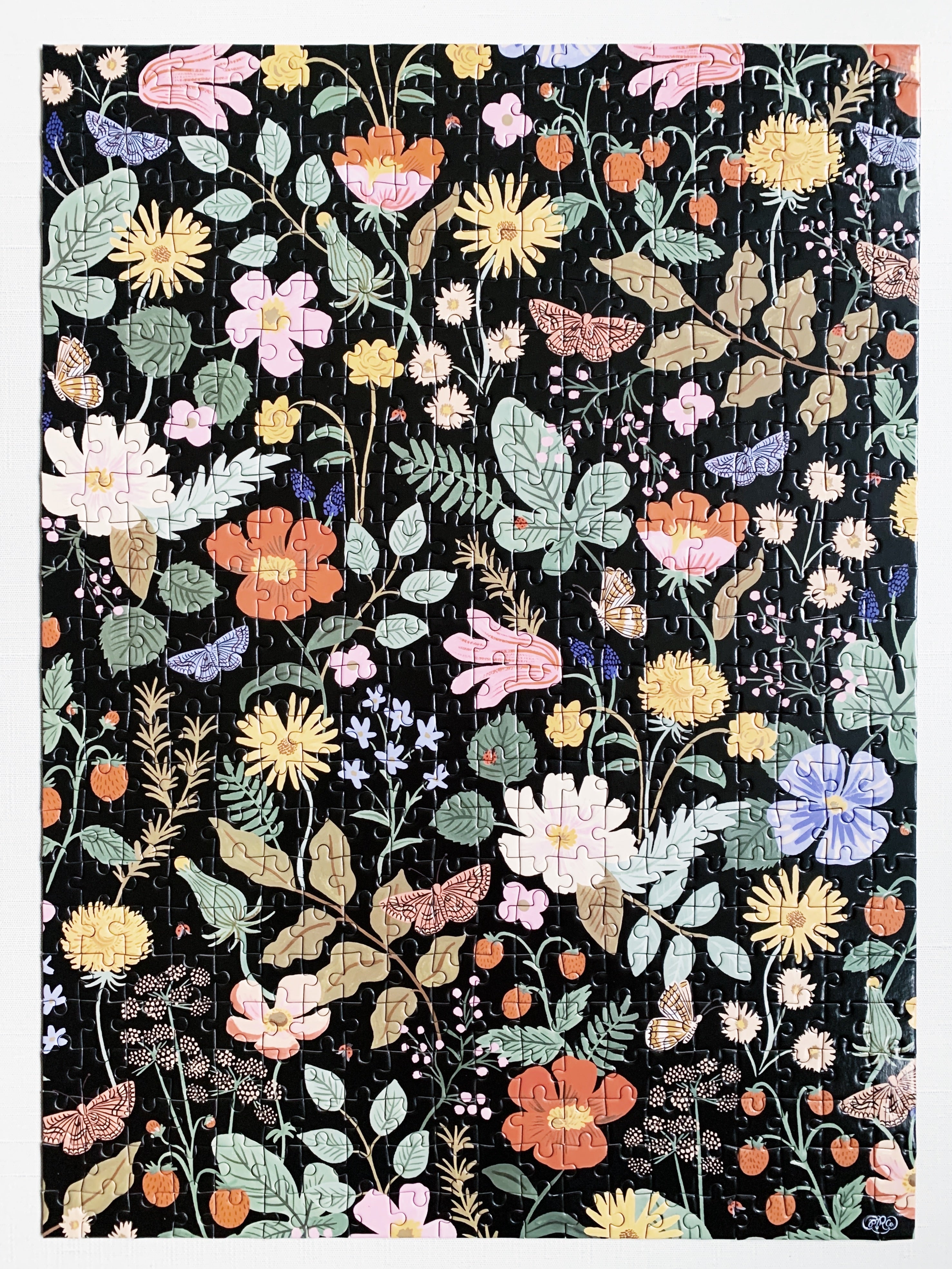 Jigsaw Puzzle